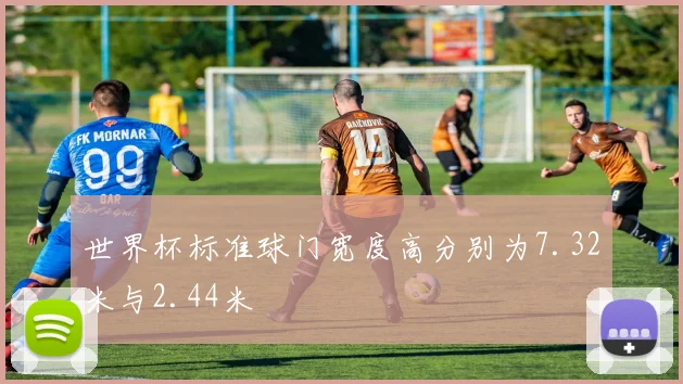 世界杯标准球门宽度高分别为7.32米与2.44米