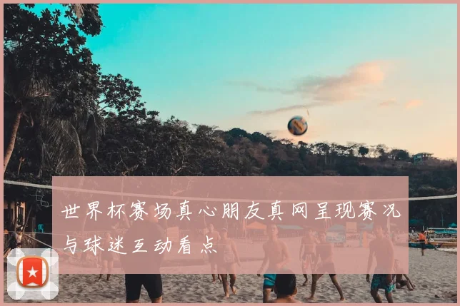 世界杯赛场真心朋友真网呈现赛况与球迷互动看点