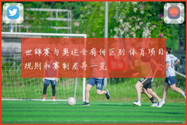 世锦赛与奥运会有何区别 体育项目规则和赛制差异一览